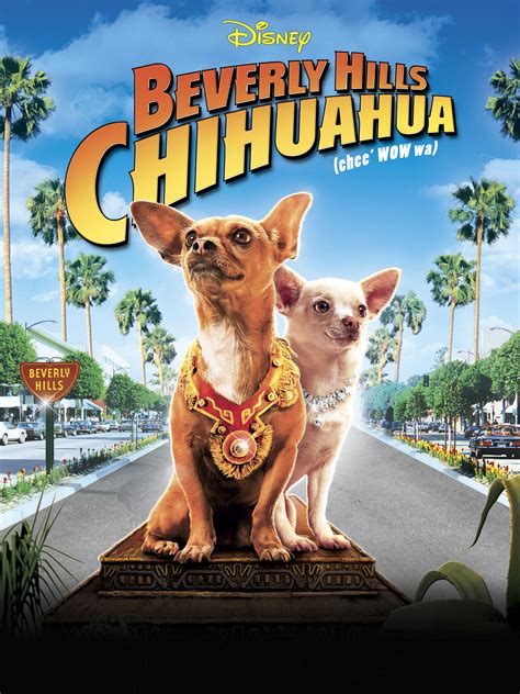 Yesmovie beverly hills chihuahua  Beverly Hills Chihuahua is a series of films starring the voice talents of George Lopez and Drew Barrymore